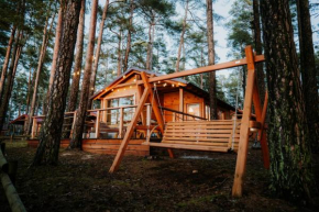WYPOCZYWANKO DOMEK PIERWSZA LINIA BRZEGOWA, Borsk
